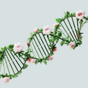 Environmental-DNA